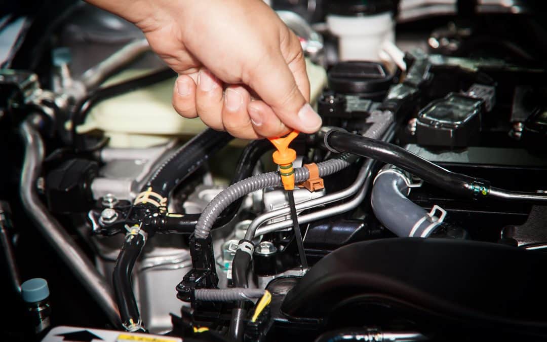 Let Kiwi’s Auto Repair Assist With Your Vehicle’s Routine Maintenance